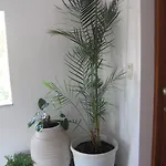 Apartman Marina I *