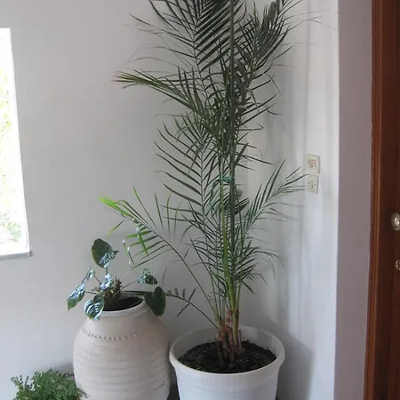 Apartamento Marina I *